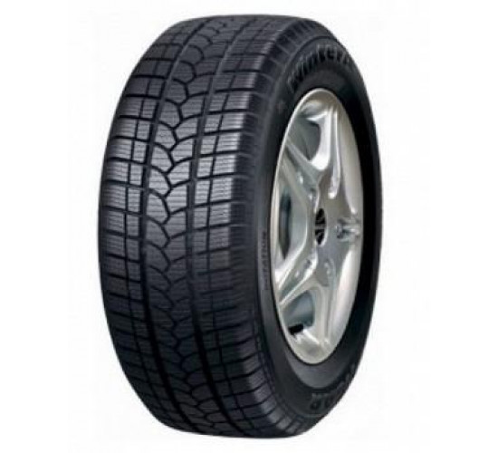 TAURUS WINTER 601 175/65R14