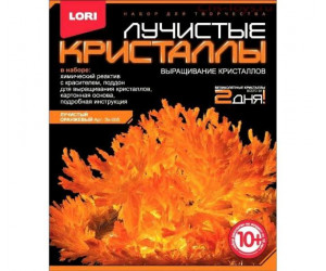 შემოქმედებითი ნაკრები ფორთოხლისებრი