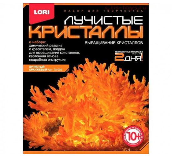 შემოქმედებითი ნაკრები ფორთოხლისებრი