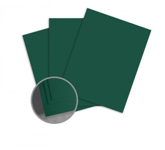 ასაკინძი ყდა A4 PC3004-12 (Green C12) 100 (ფურც)