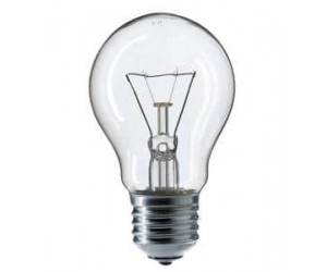 ვარვარა ნათურა Linus Lin4-4227 PS55 100W E27